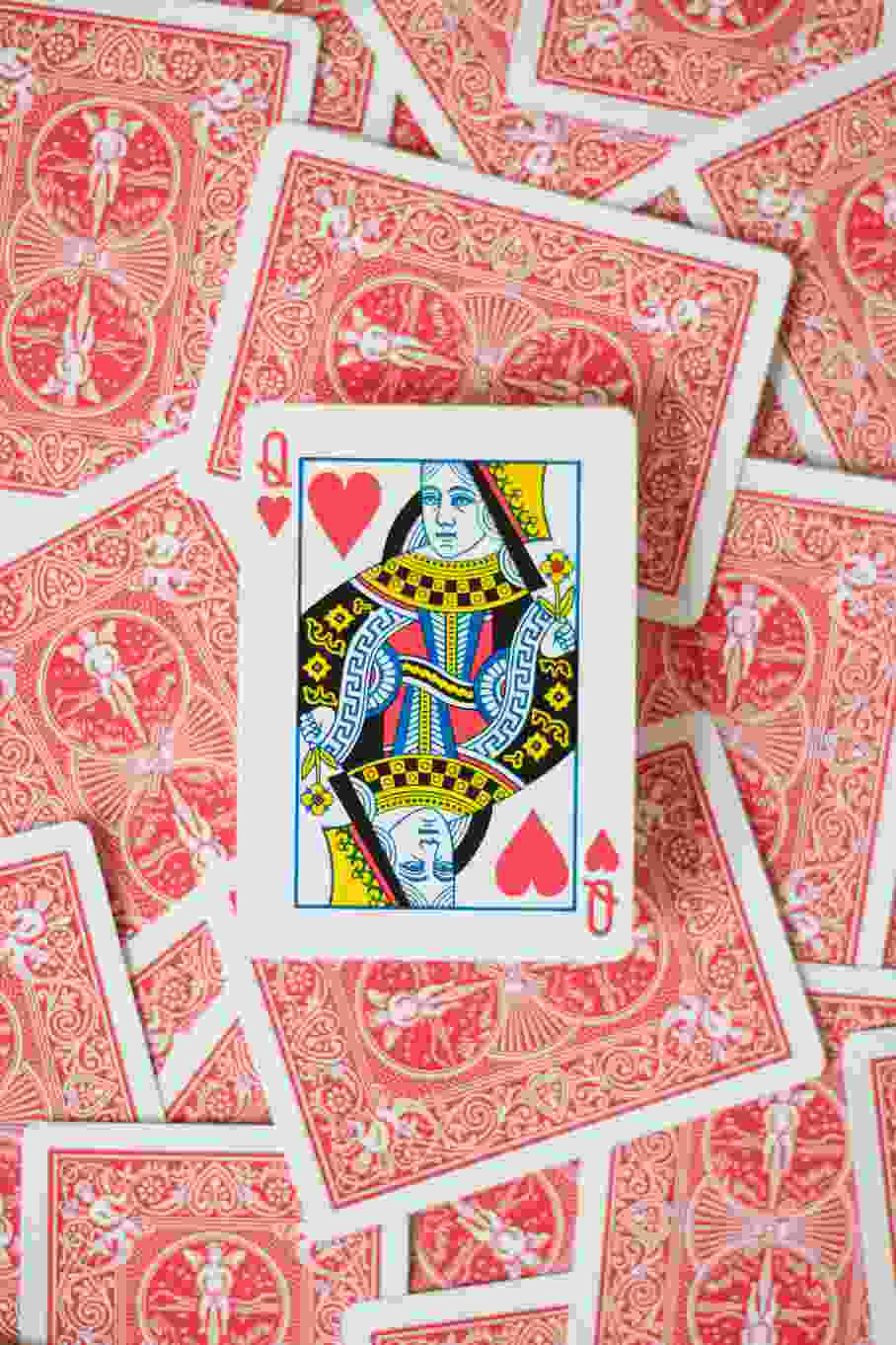 CasinoChan vs. Competitor: A Comprehensive Comparison for Players